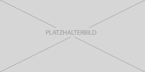 Platzhalterbild großes Querformat&hellip;